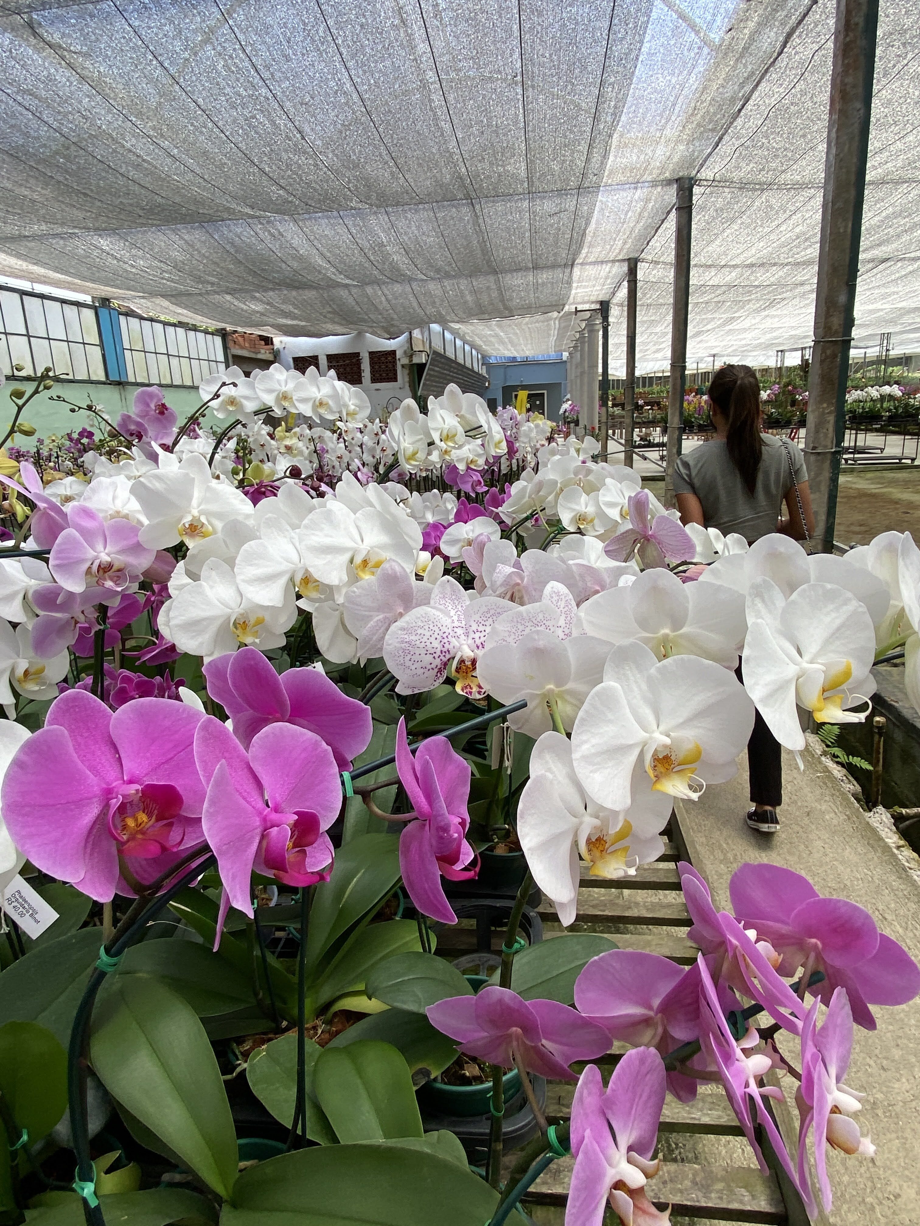 Orquidário Binot - Petrópolis